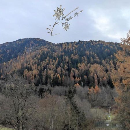 Soggiorno Vacanze Stella Alpina Temù Exterior foto
