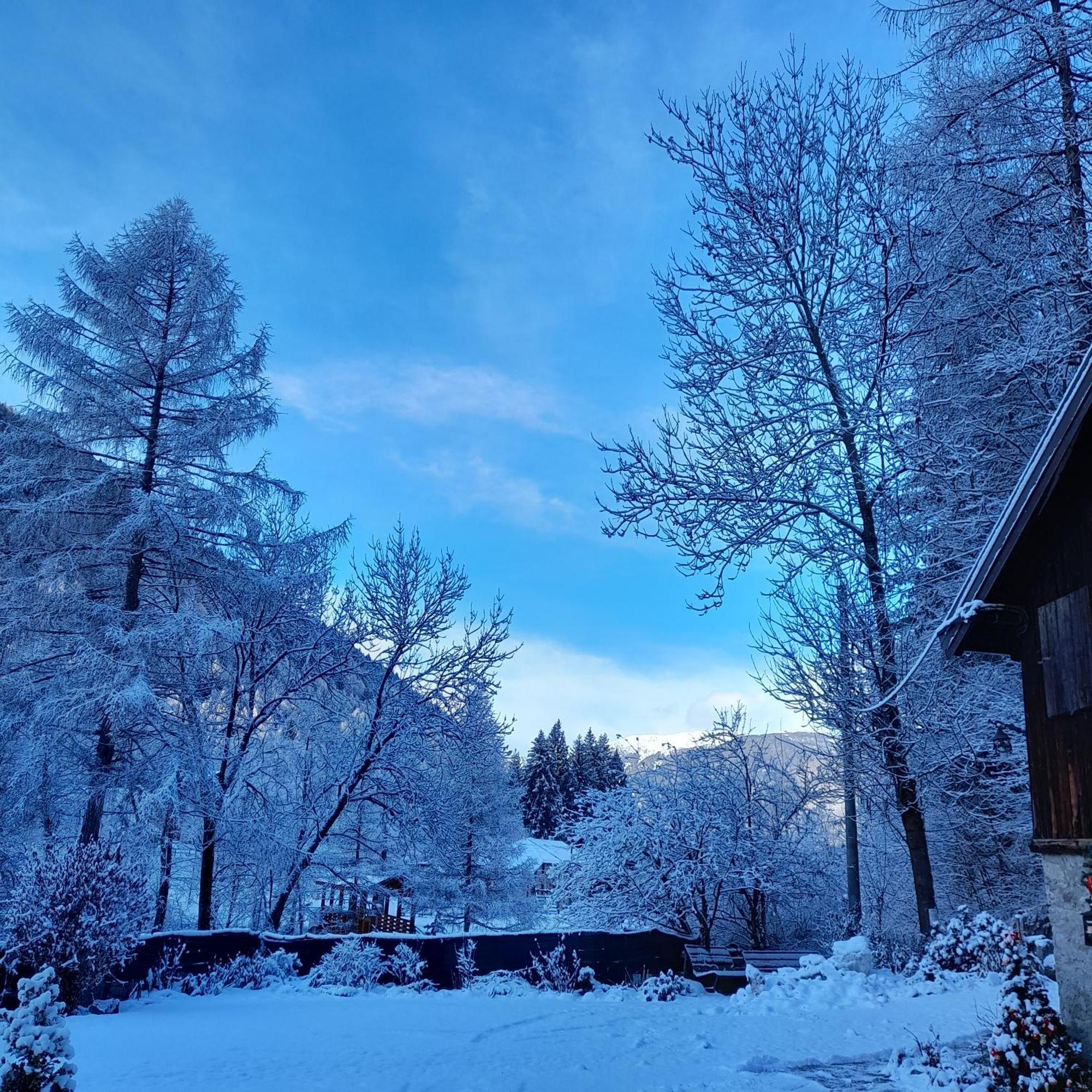 Soggiorno Vacanze Stella Alpina Temù Exterior foto