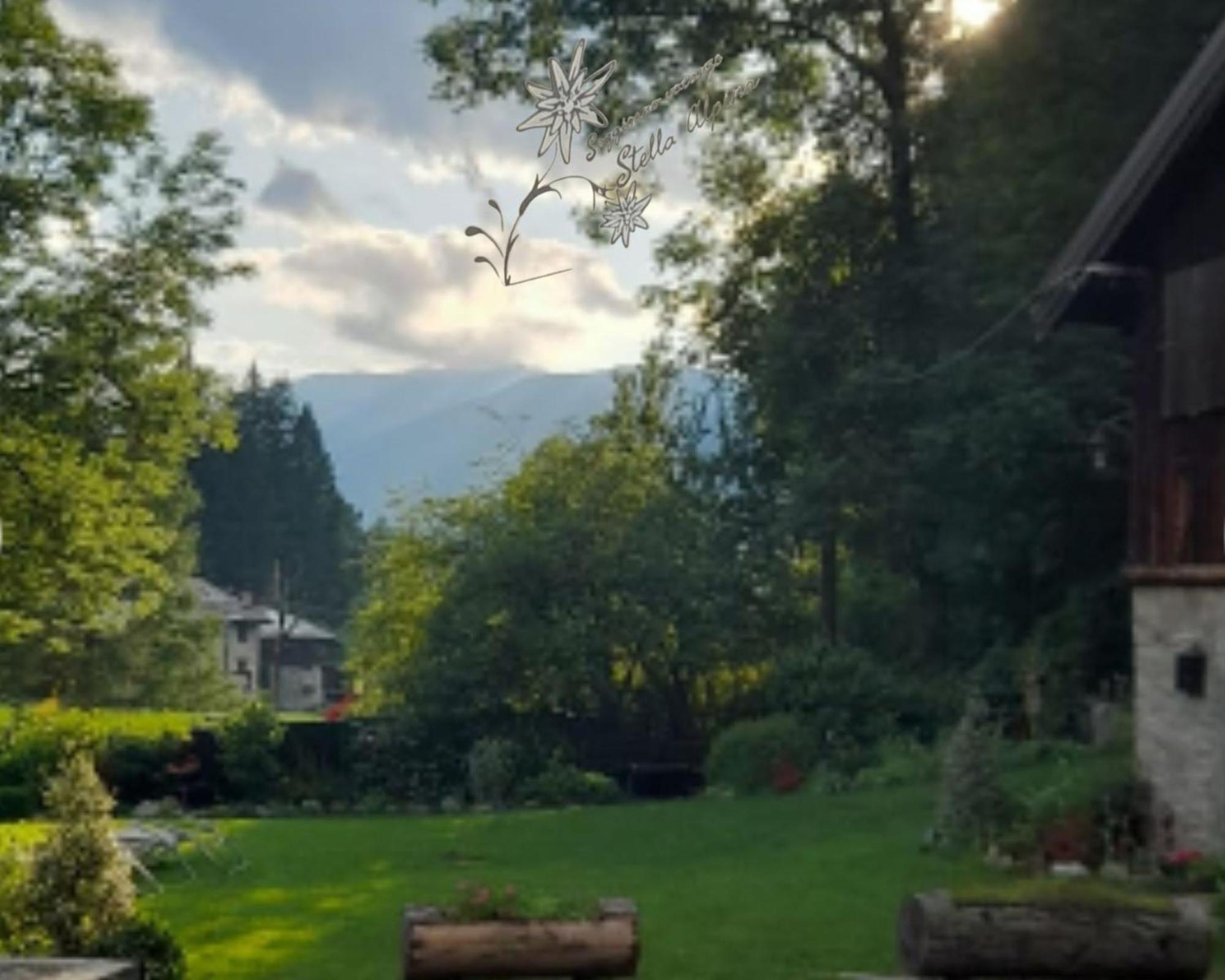 Soggiorno Vacanze Stella Alpina Temù Habitación foto
