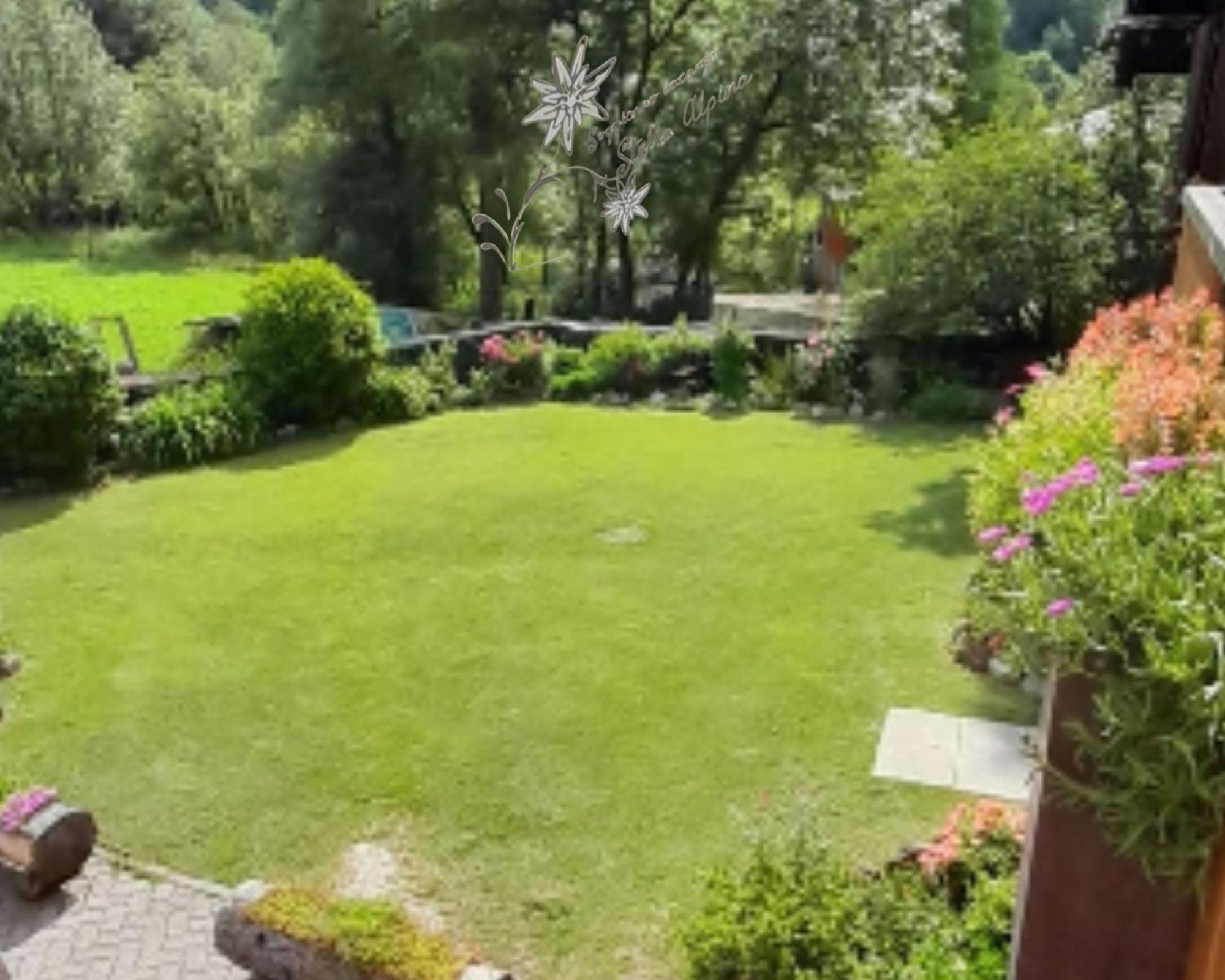Soggiorno Vacanze Stella Alpina Temù Habitación foto